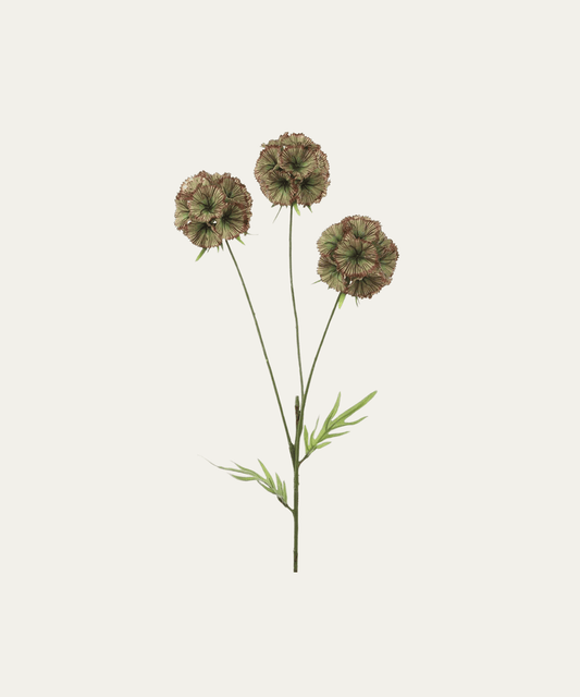 32" Scabiosa Spray - Stephenson House