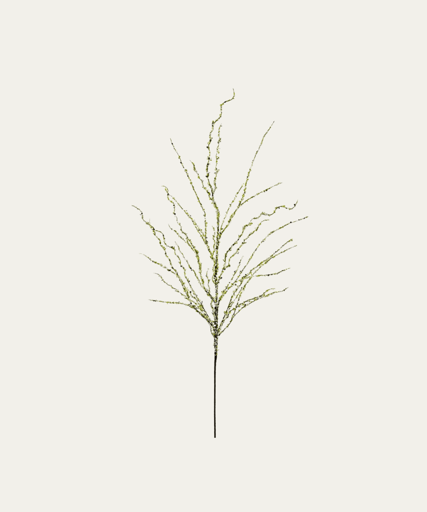 48"Mini Blossom Spray - Stephenson House