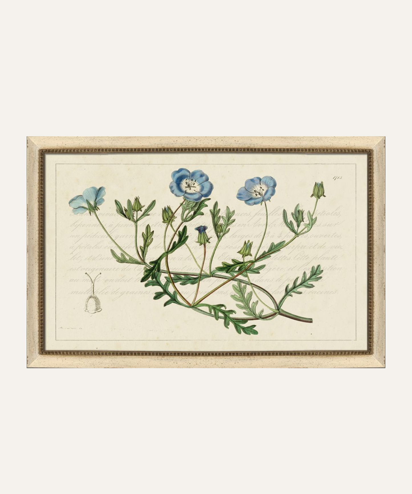 Blue Botanical Study