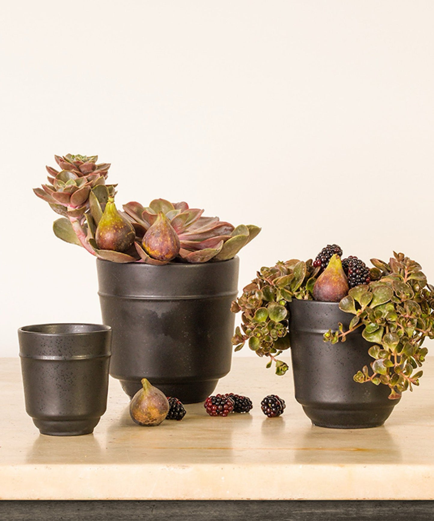 Le Jardin Noir Cache Pot, 3 Sizes - Stephenson House