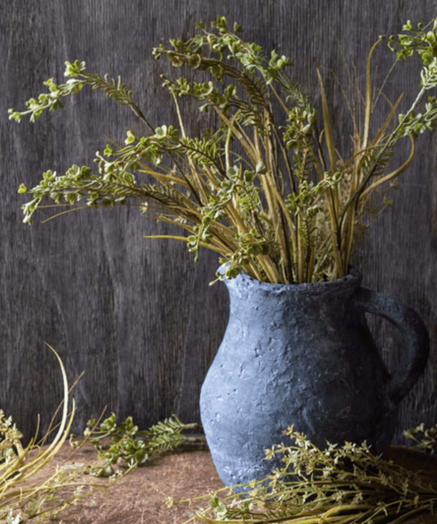 Meadow Buck Grass Stem - Stephenson House