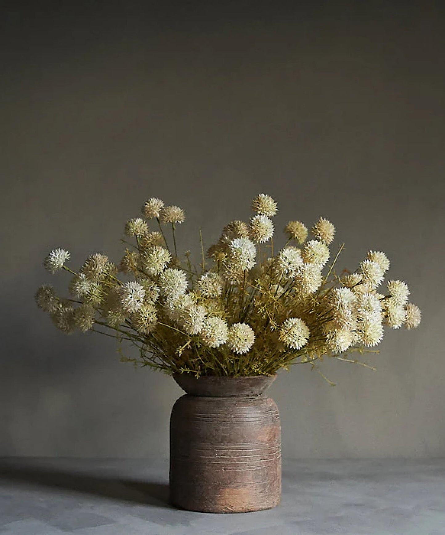 Melaleuca Stem, Cream - Stephenson House