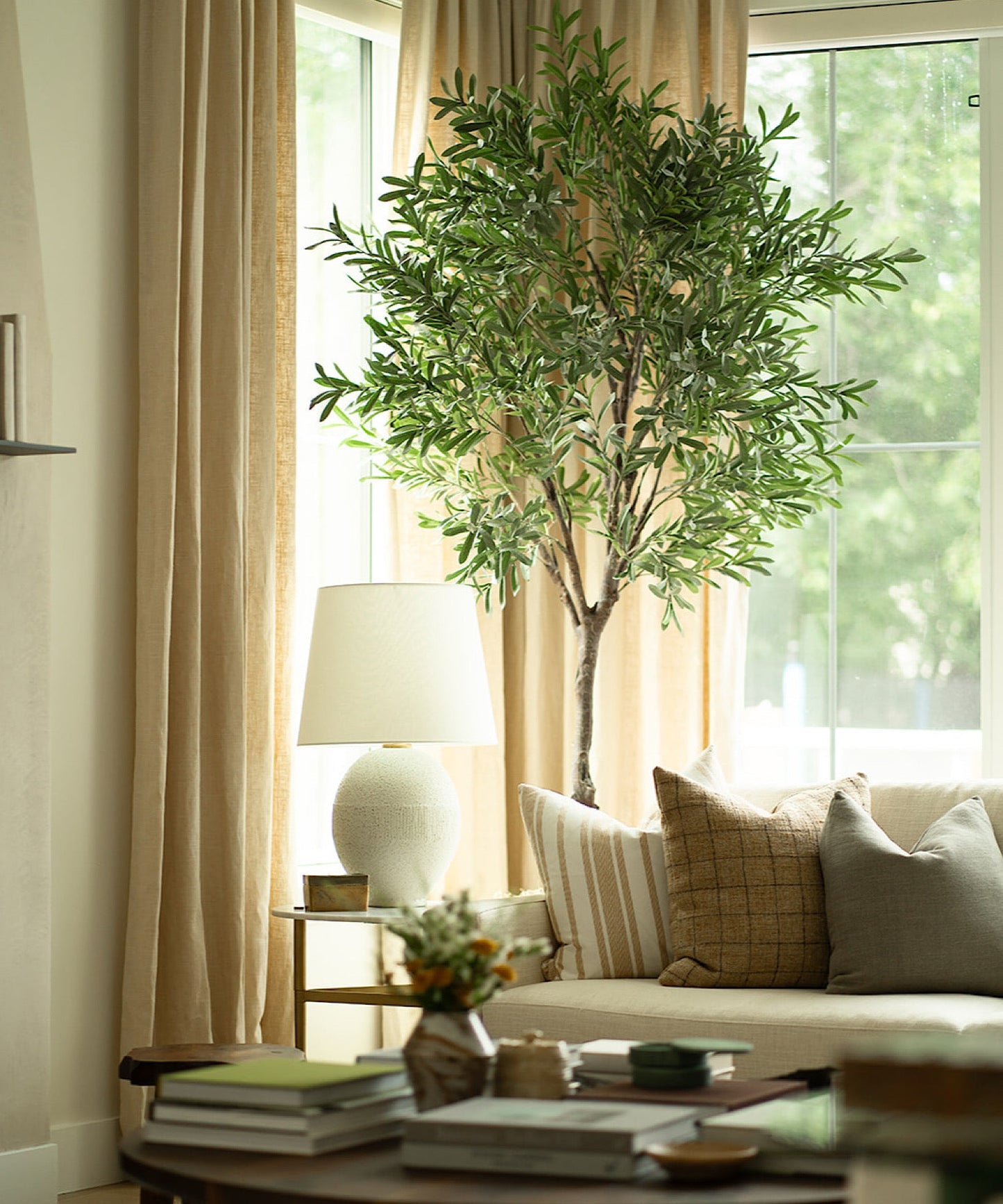 Olive Tree, 8' & 10' - Stephenson House