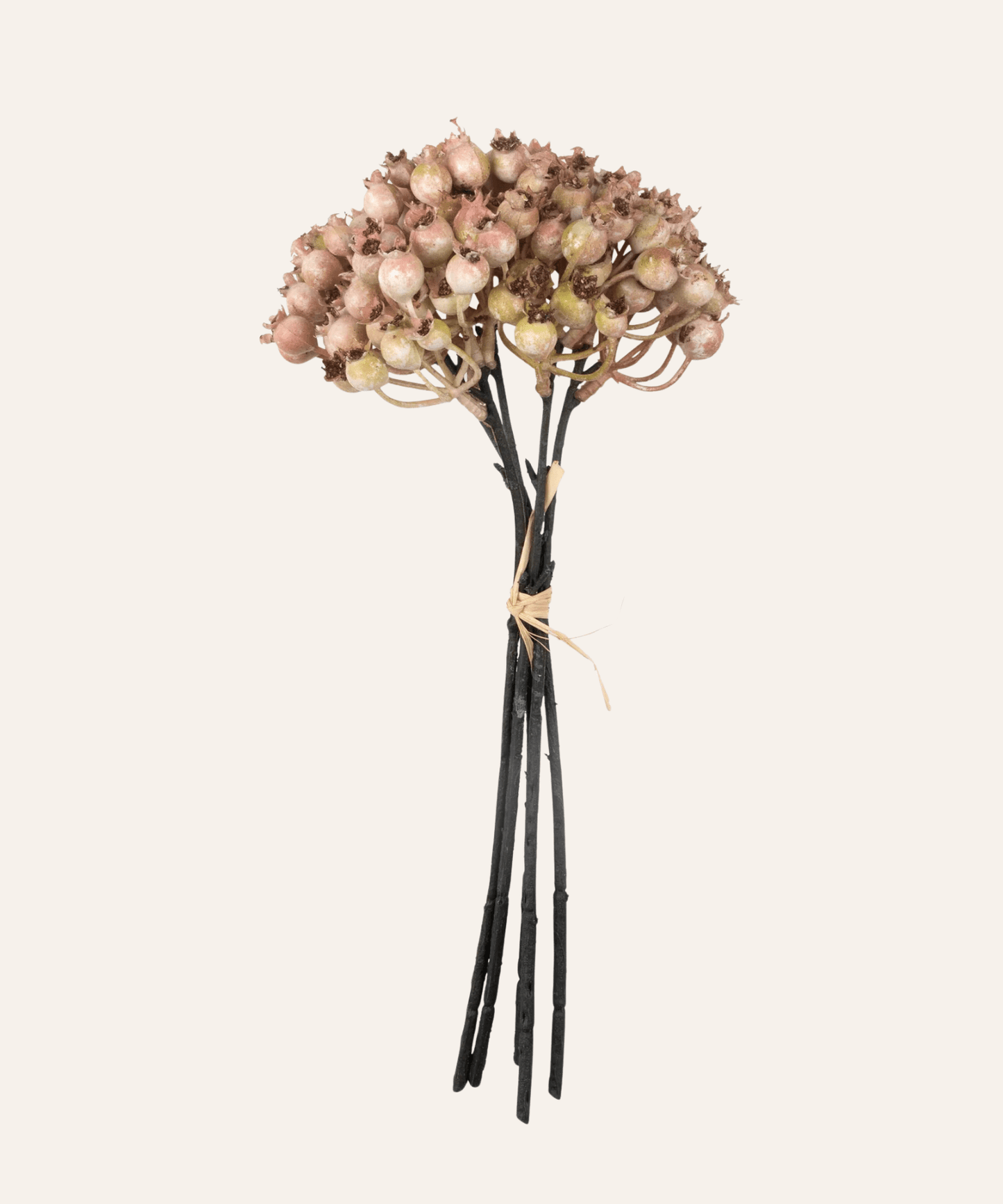 Rosehip Bunch, Blush - Stephenson House