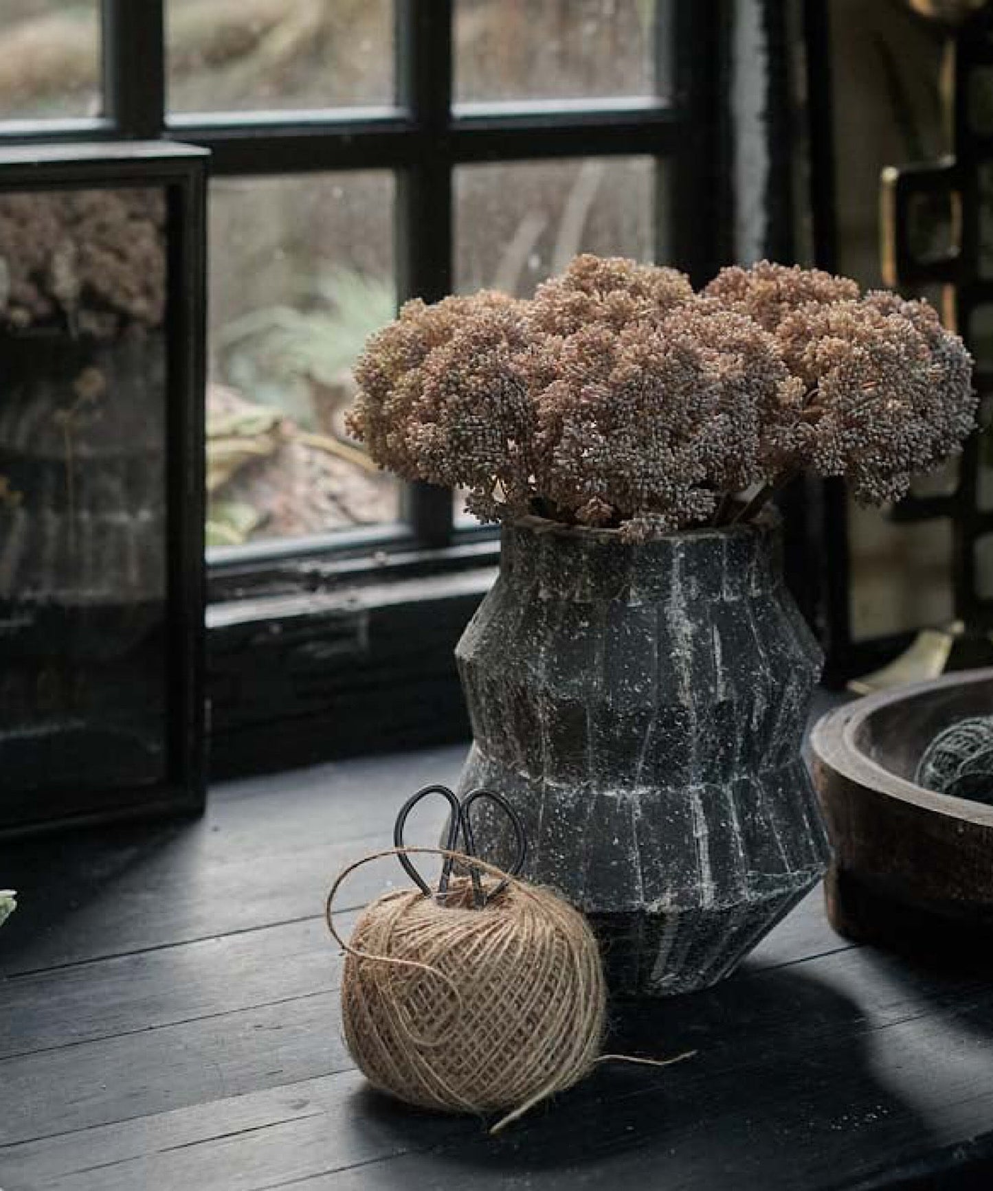 Sedum Stem, Cloud - Stephenson House