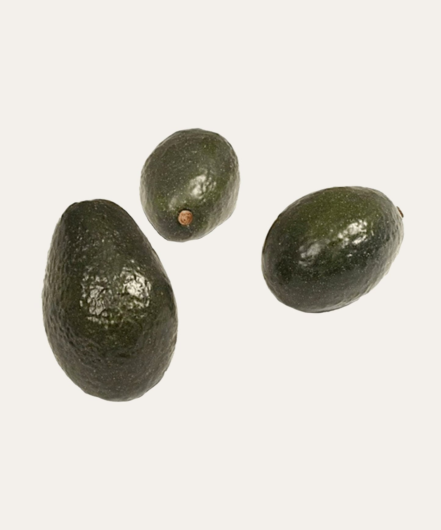 Avocado - Stephenson House