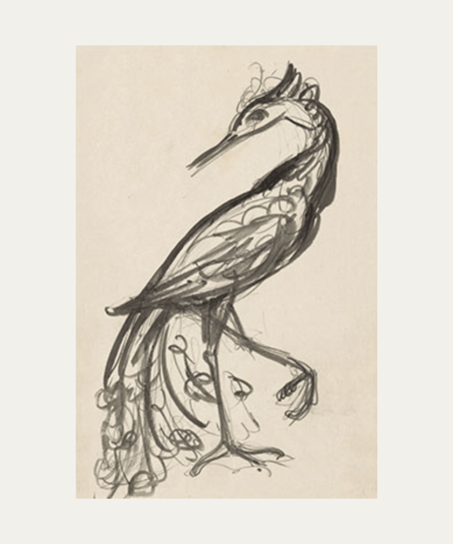 Bird Sketch, Print - Stephenson House