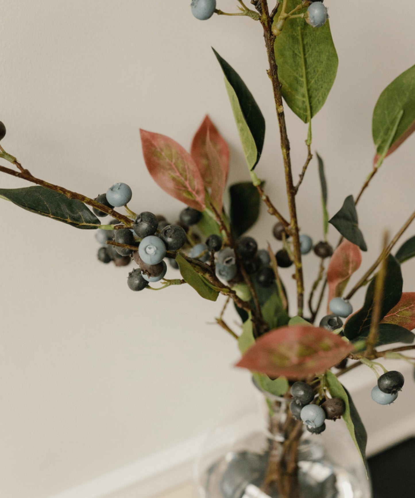 Blueberry Branch - Stephenson House