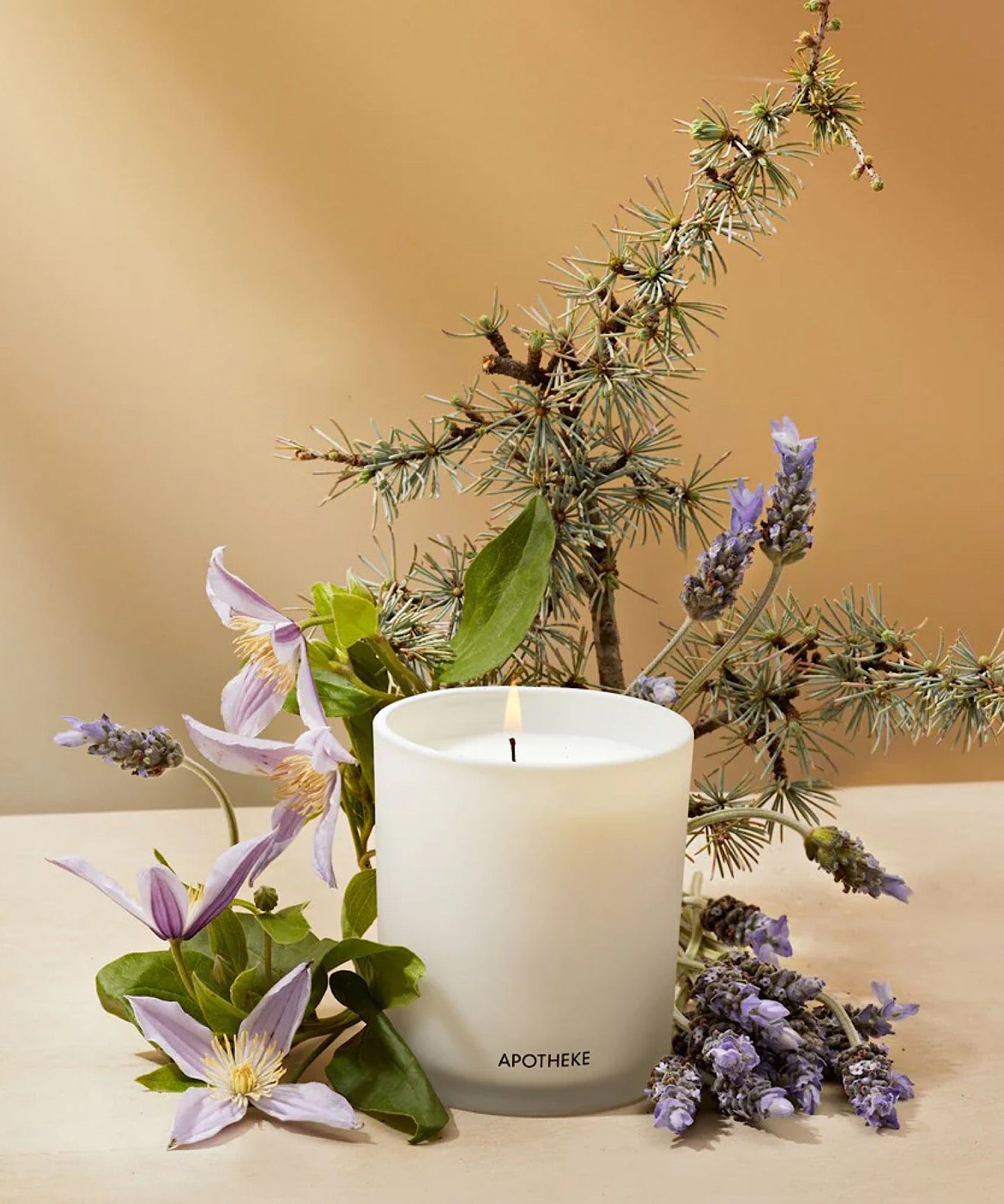Hinoki Lavender Candle - Stephenson House