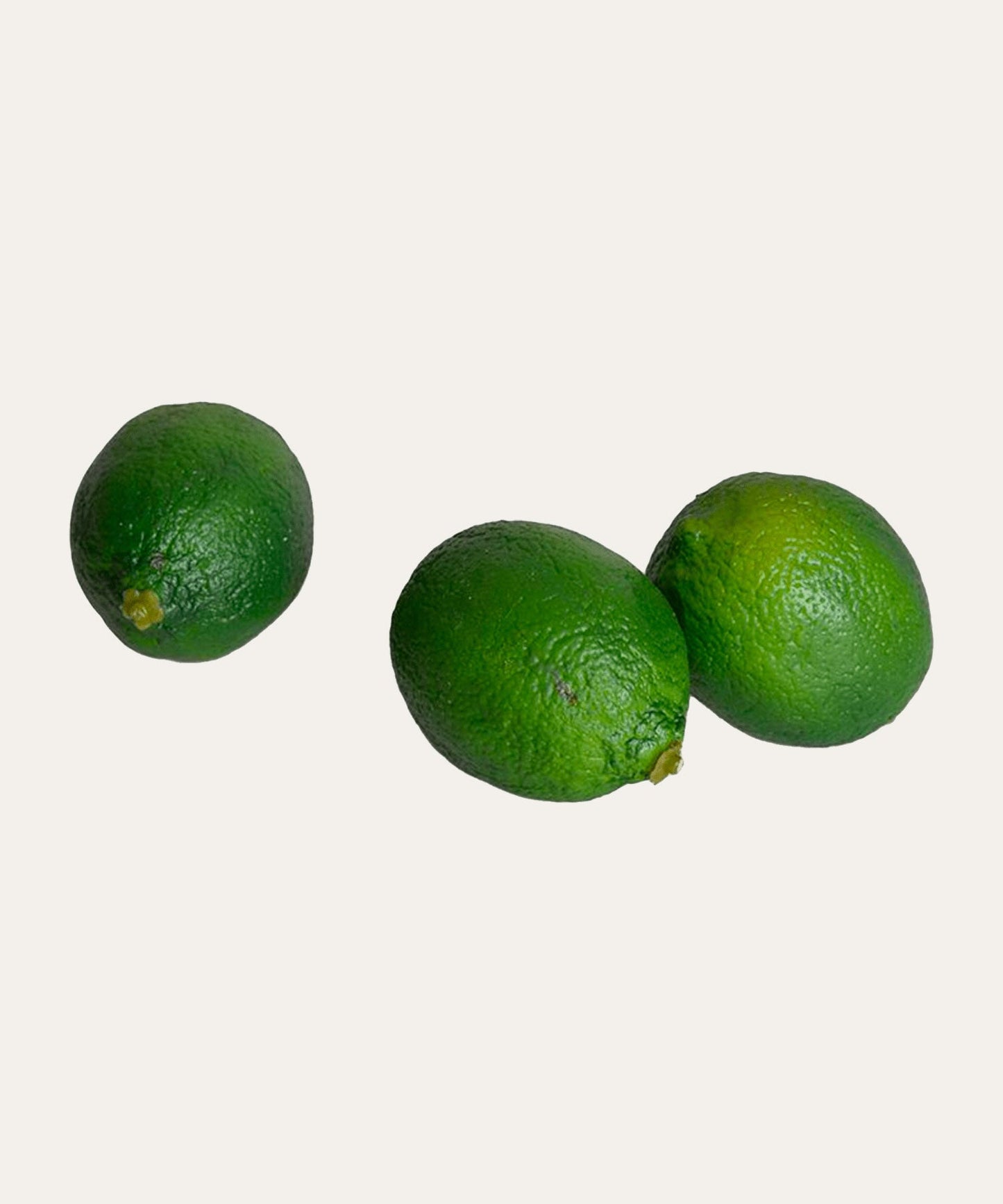 Limes - Stephenson House