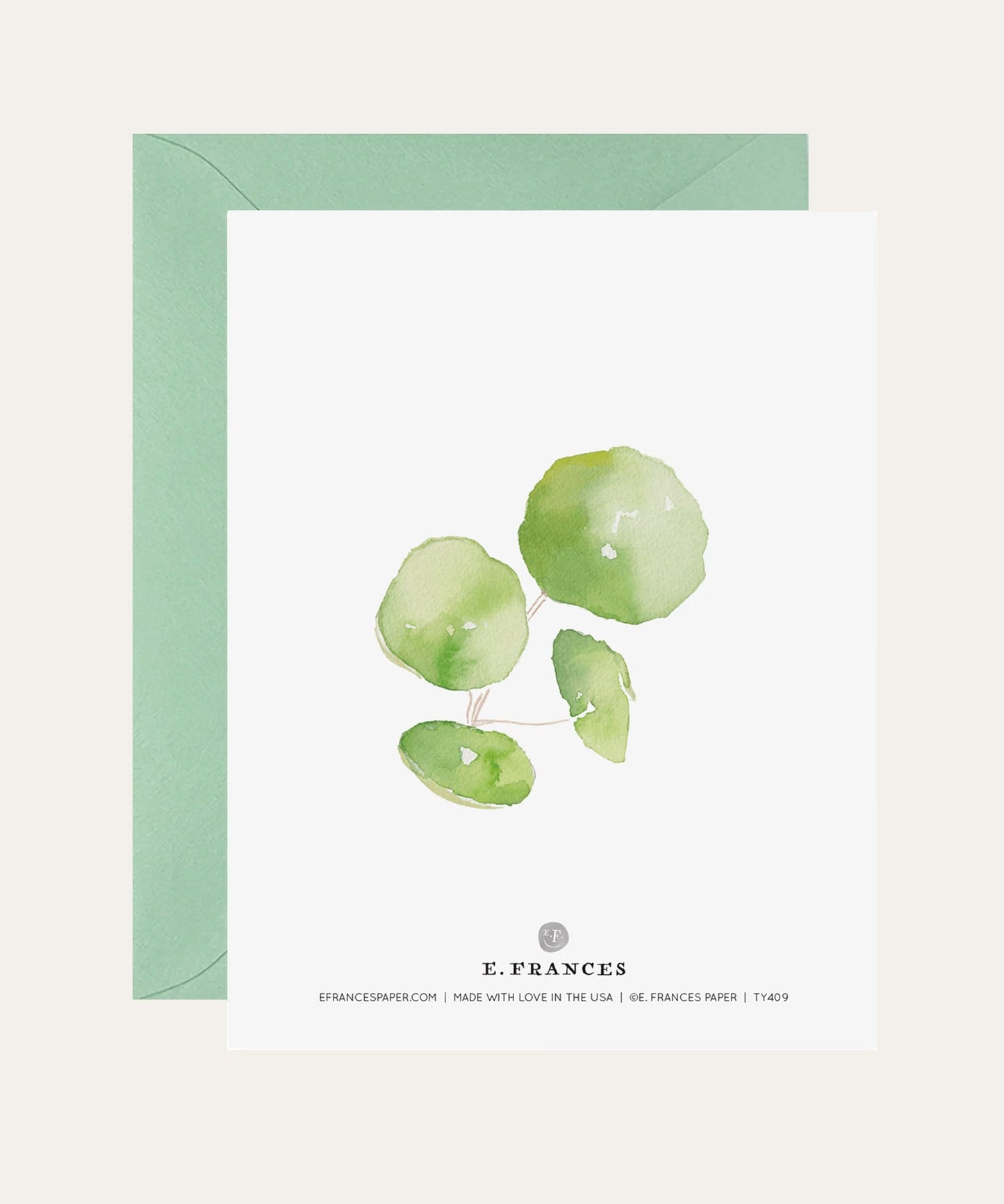 Pancake Plant, Thank You Card - Stephenson House