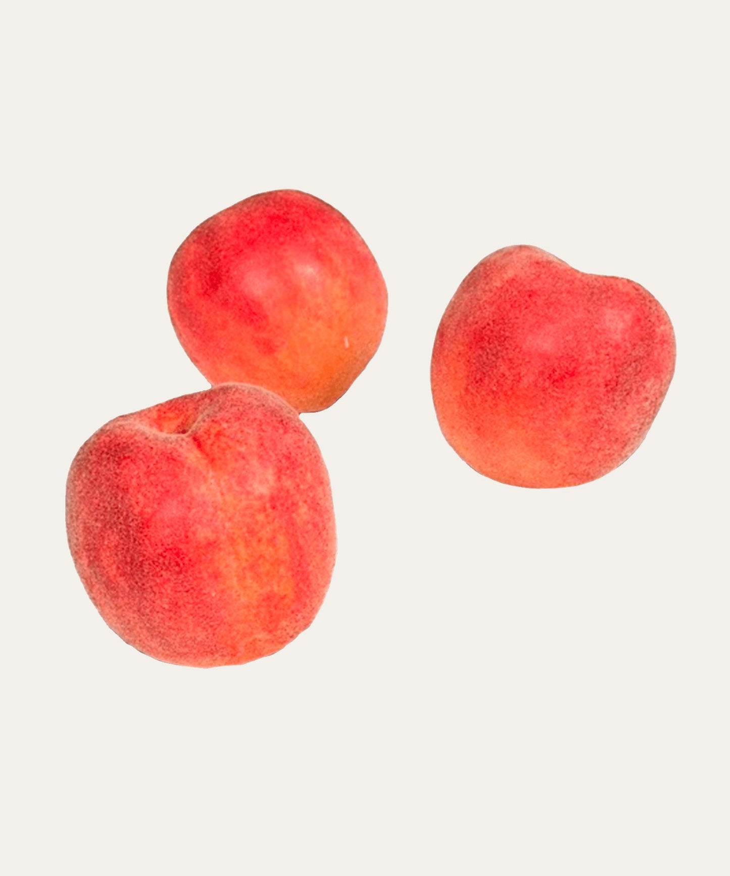 Peach - Stephenson House