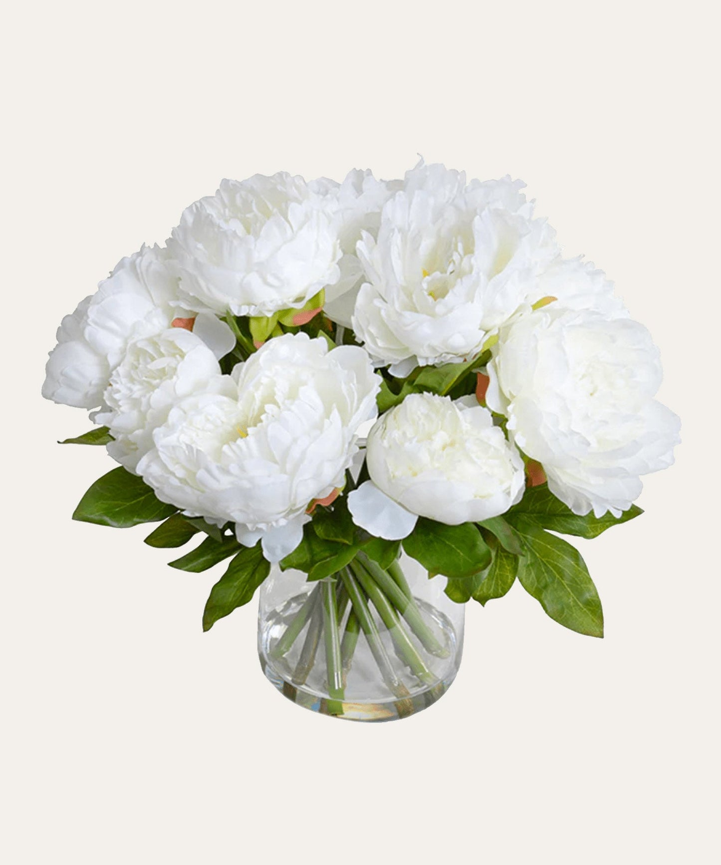 Peony Arrangement, White - Stephenson House