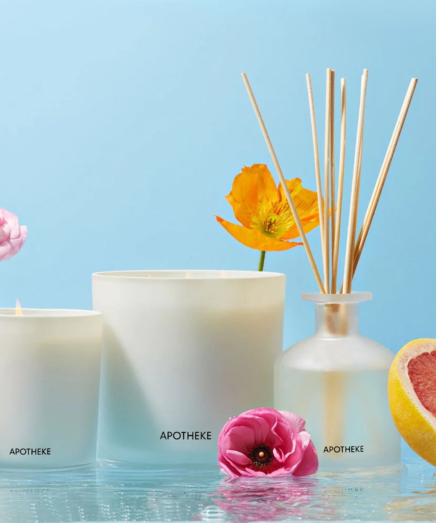 Sea Salt Grapefruit Reed Diffuser - Stephenson House