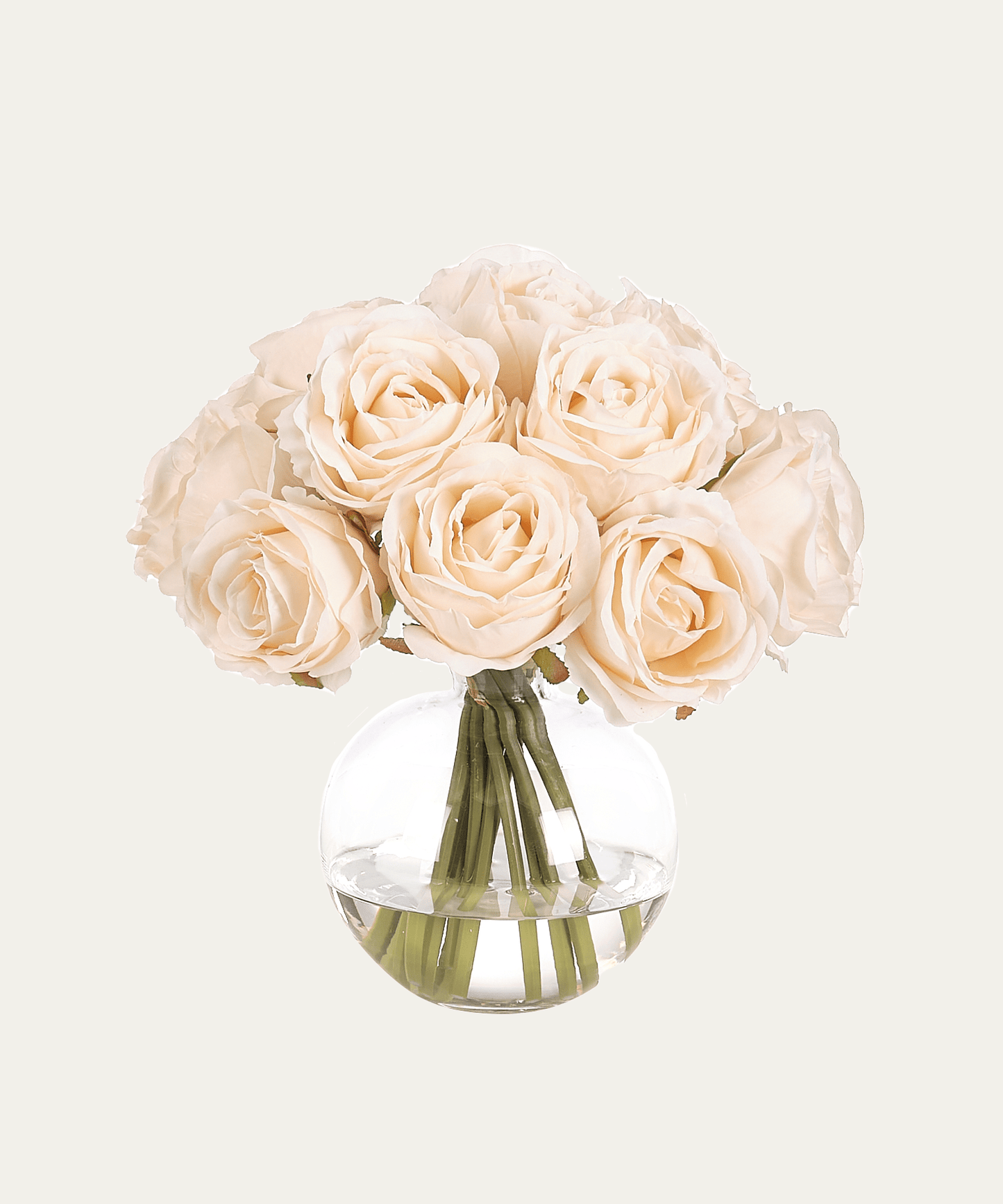 Soft Pink Roses - Stephenson House