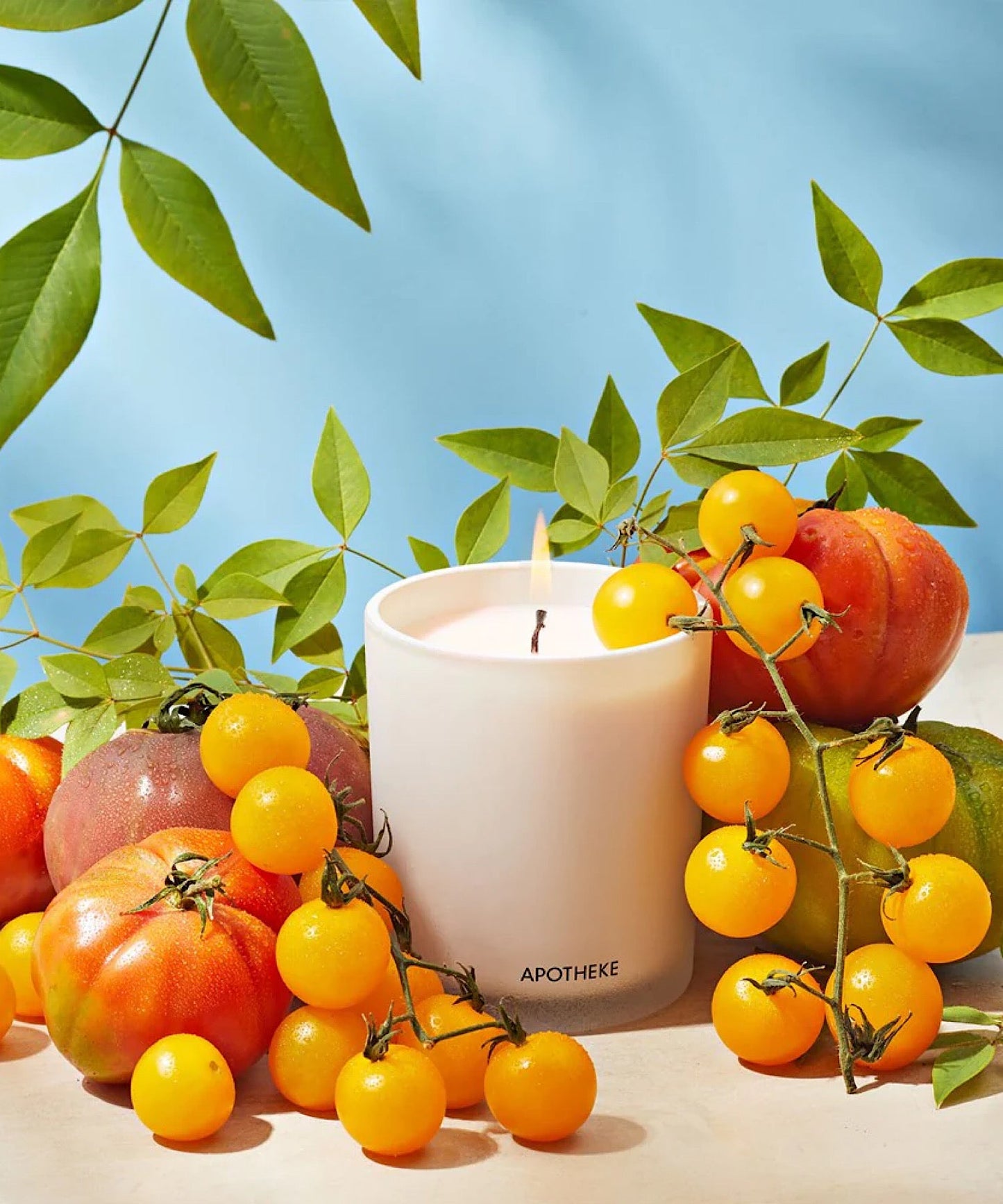 Tomato Tarragon Candle - Stephenson House