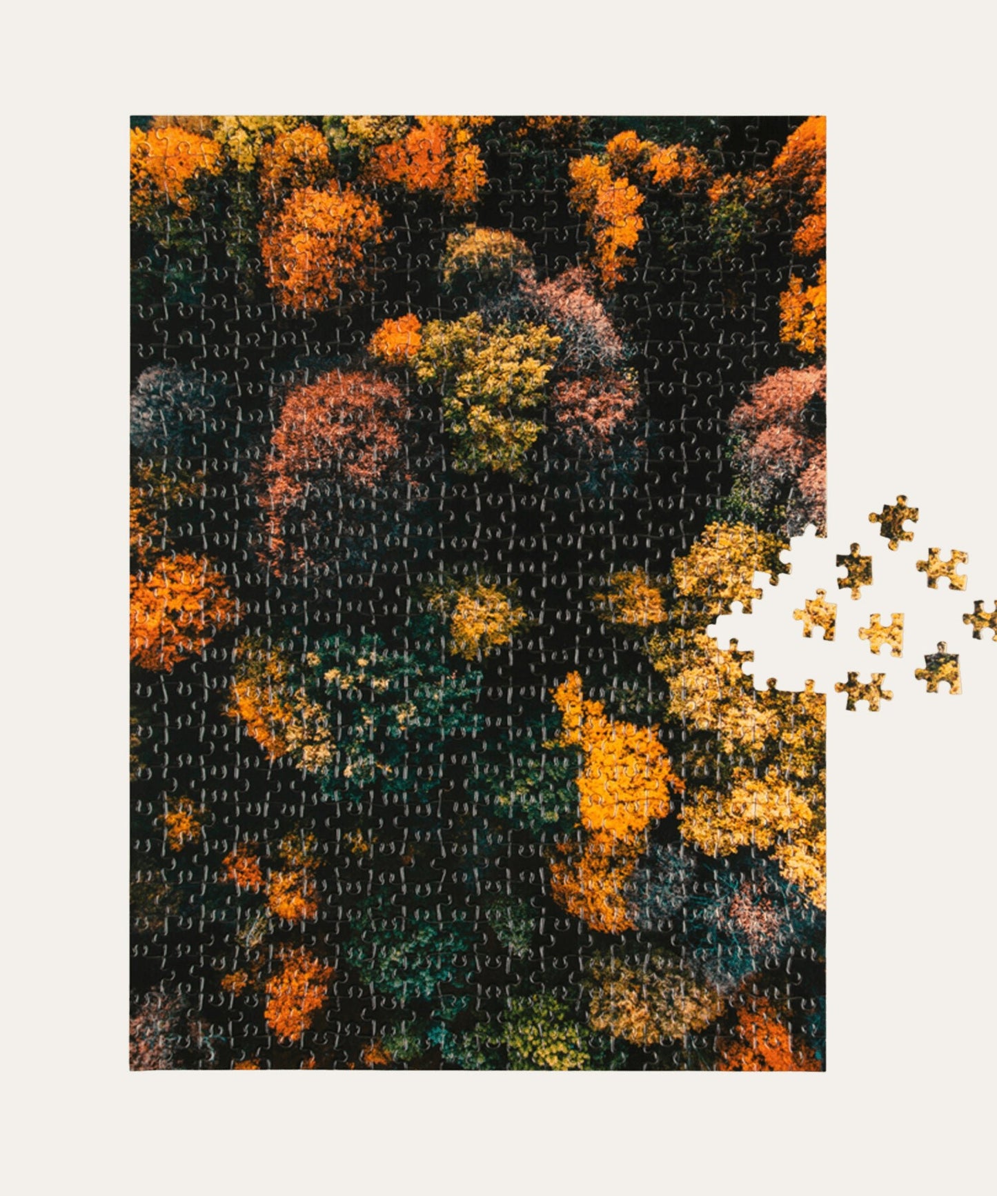 Trees, Puzzle - Stephenson House