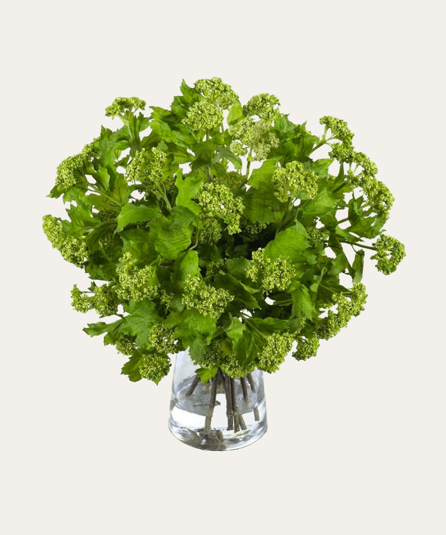 Viburnum Bouquet in Glass - Stephenson House