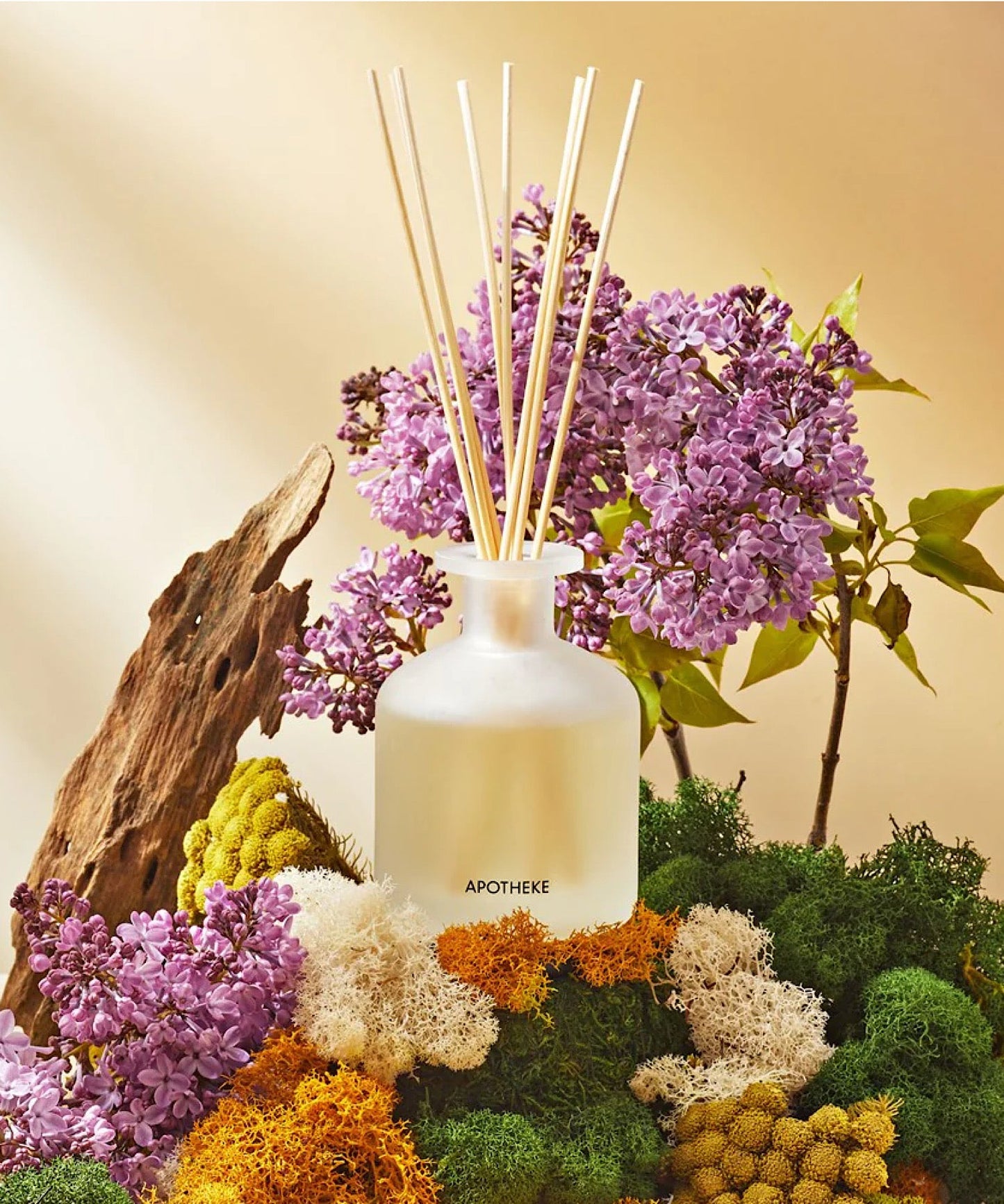 White Vetiver Reed Diffuser - Stephenson House