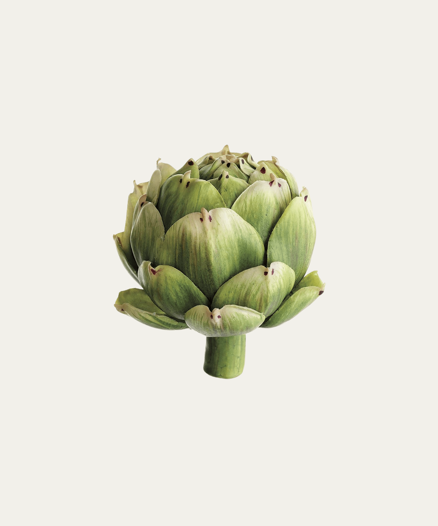 Artichoke - Stephenson House