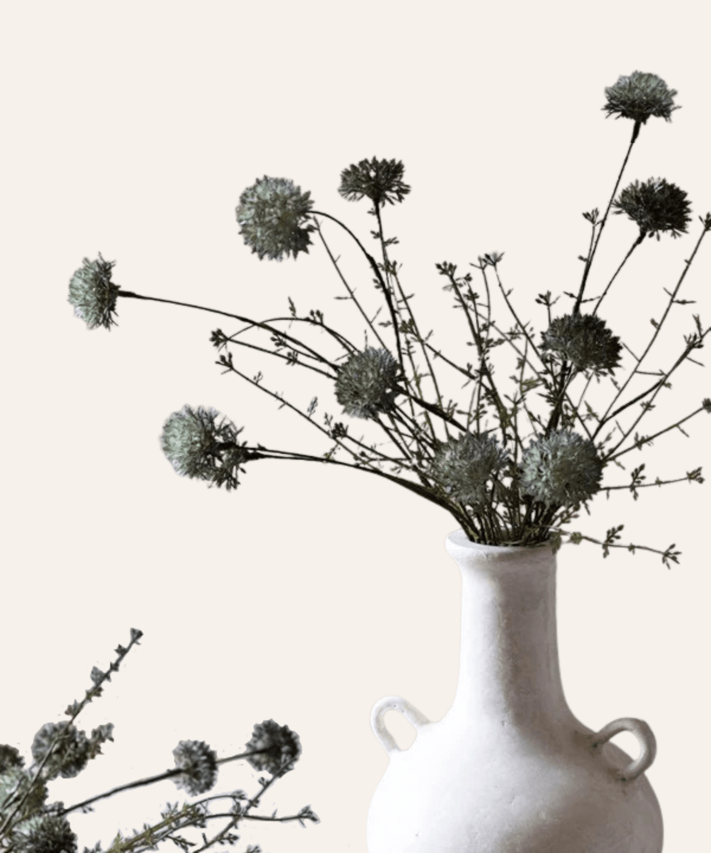 Melaleuca Stem, Dusk - Stephenson House