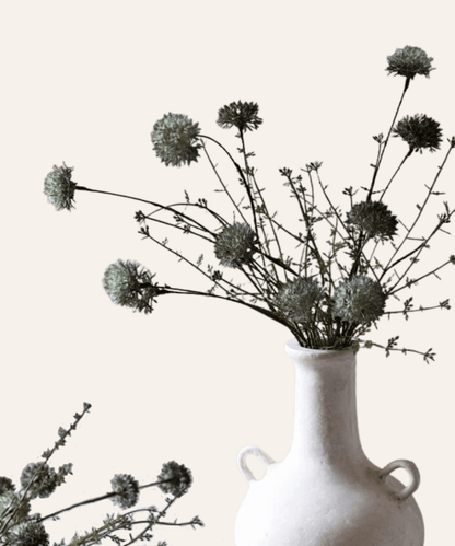 Melaleuca Stem, Dusk - Stephenson House