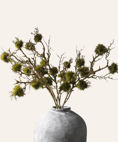Moss Branch Stem - Stephenson House