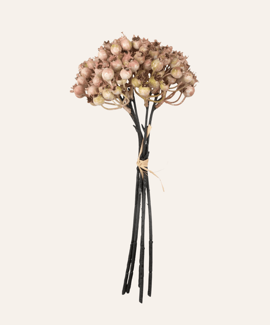 Rosehip Bunch, Blush - Stephenson House
