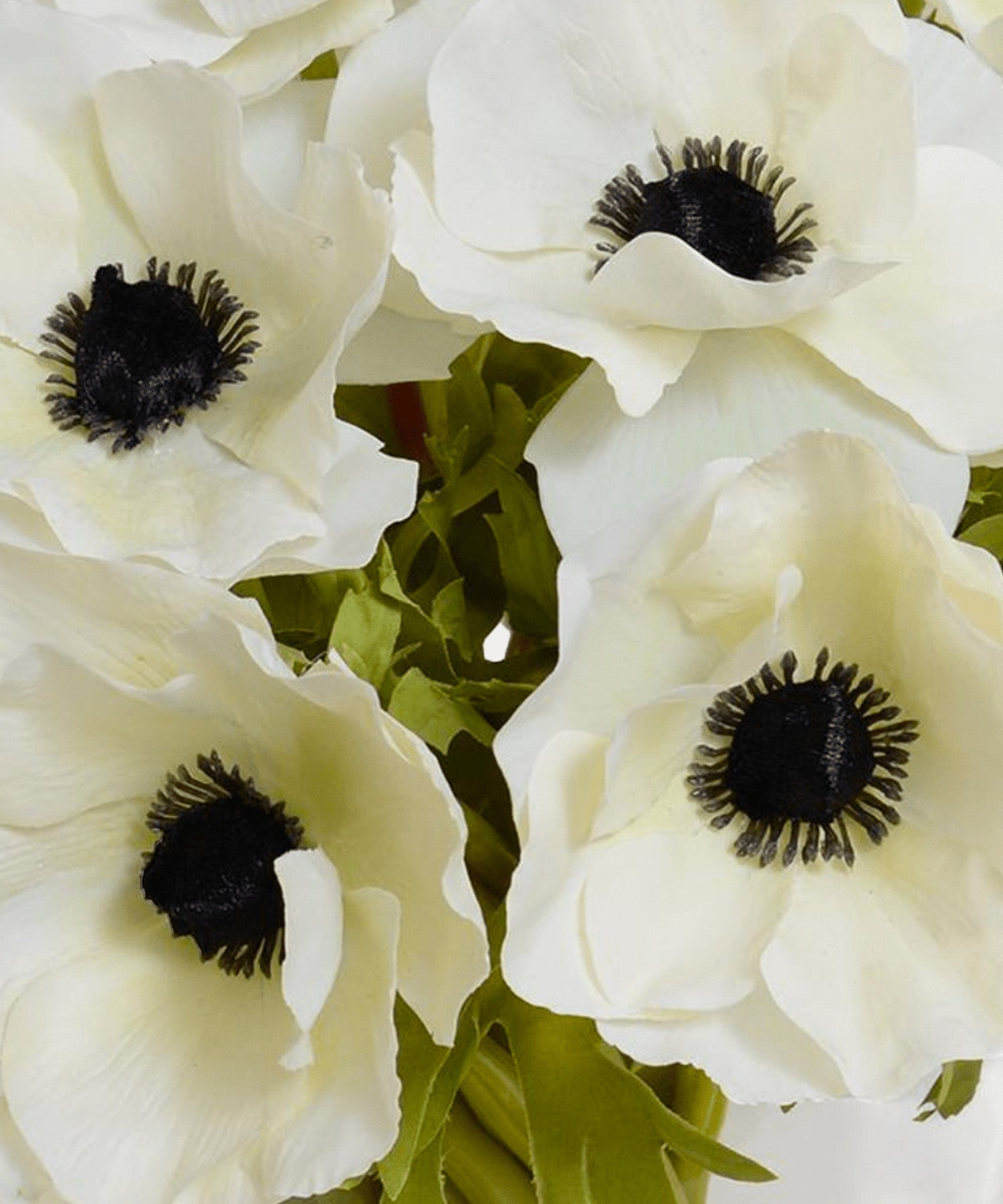 Anemone Arrangement, 12" - Stephenson House