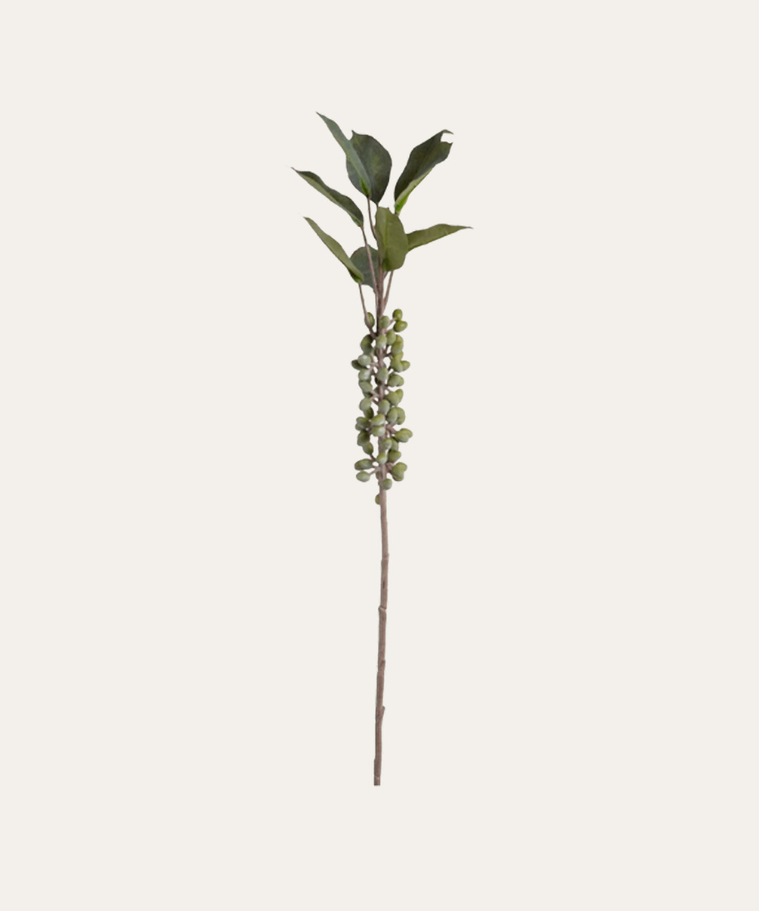 Berry Branch, Coffee - Stephenson House