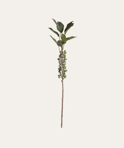 Berry Branch, Coffee - Stephenson House