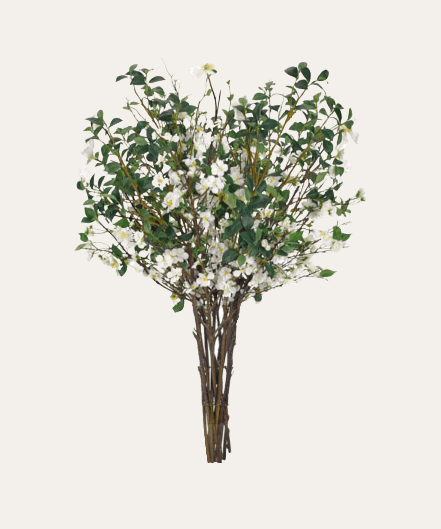 Blooming Branch - Stephenson House