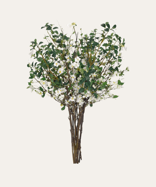 Blooming Branch - Stephenson House
