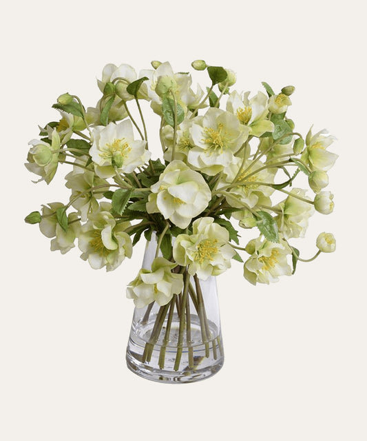 Helleborus Lenten Rose Arrangement - Stephenson House