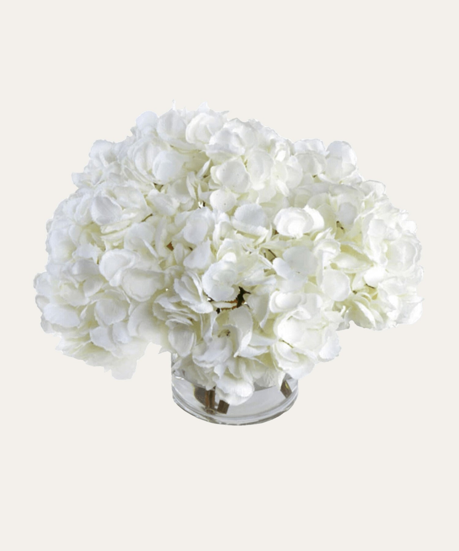 Hydrangea Arrangement, Cream - Stephenson House