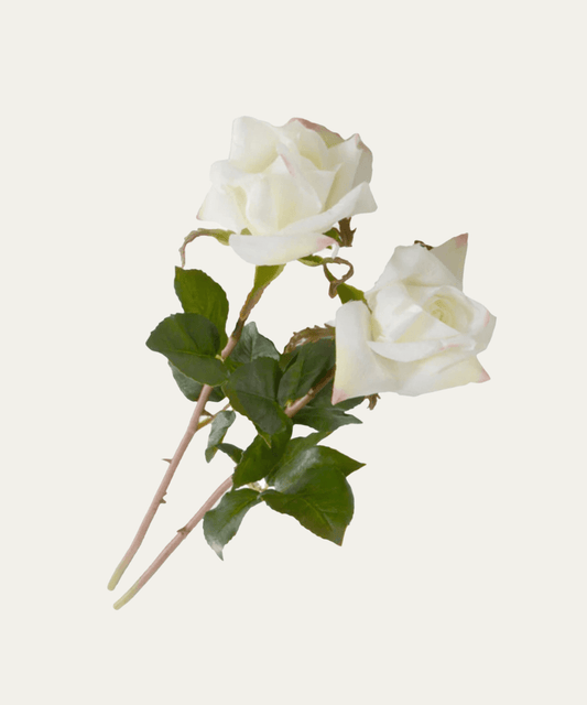 Rose Stem, 21" - Stephenson House
